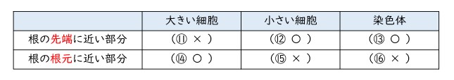 細胞分裂　答え