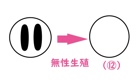 無性生殖