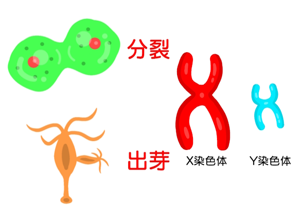 中３　理科