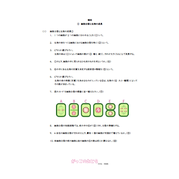 中３　理科