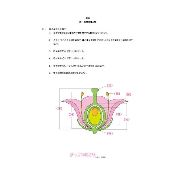 中３　理科