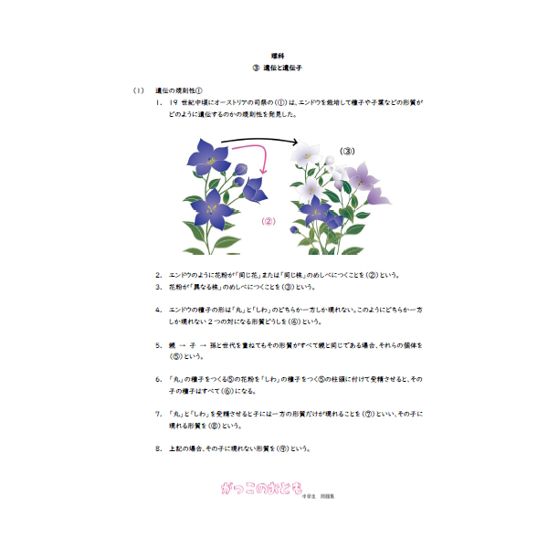 中３　理科