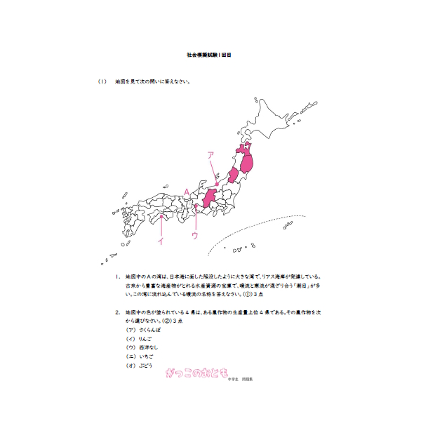 社会模擬試験