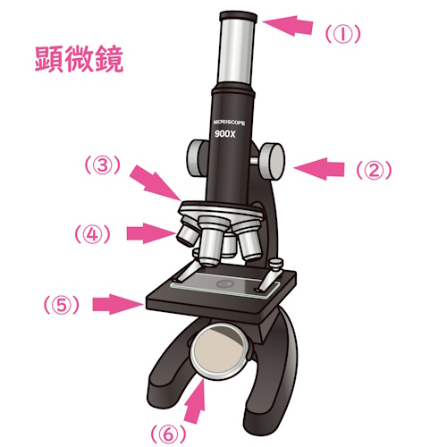 顕微鏡